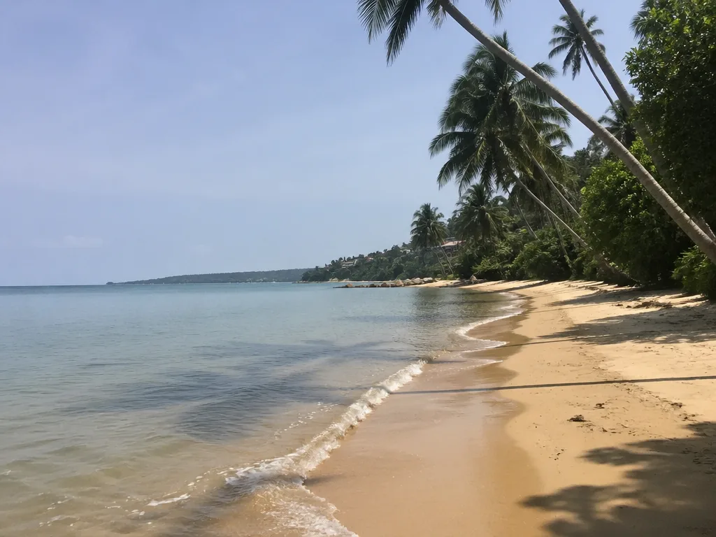 苏梅岛泰国湾椰林海滩平静海面正午景色