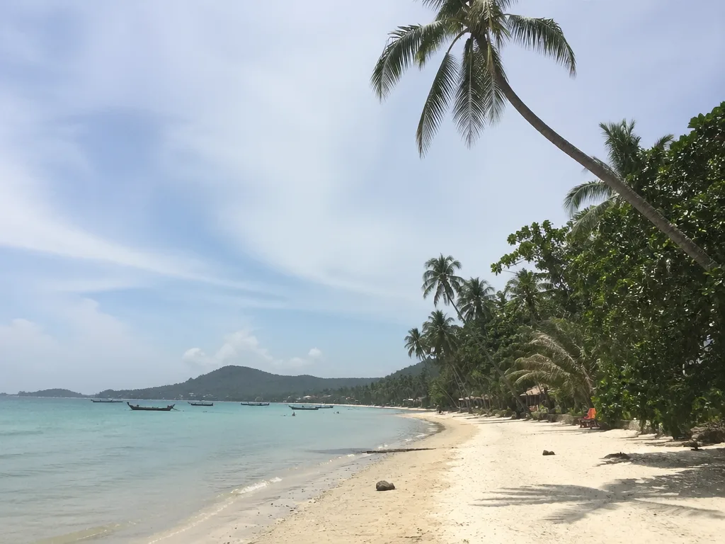 Long Koh Samui beach with turquoise water and palms