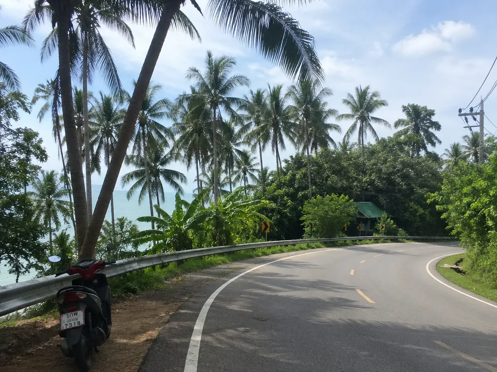 Koh Samui ring road curving past coconut palms