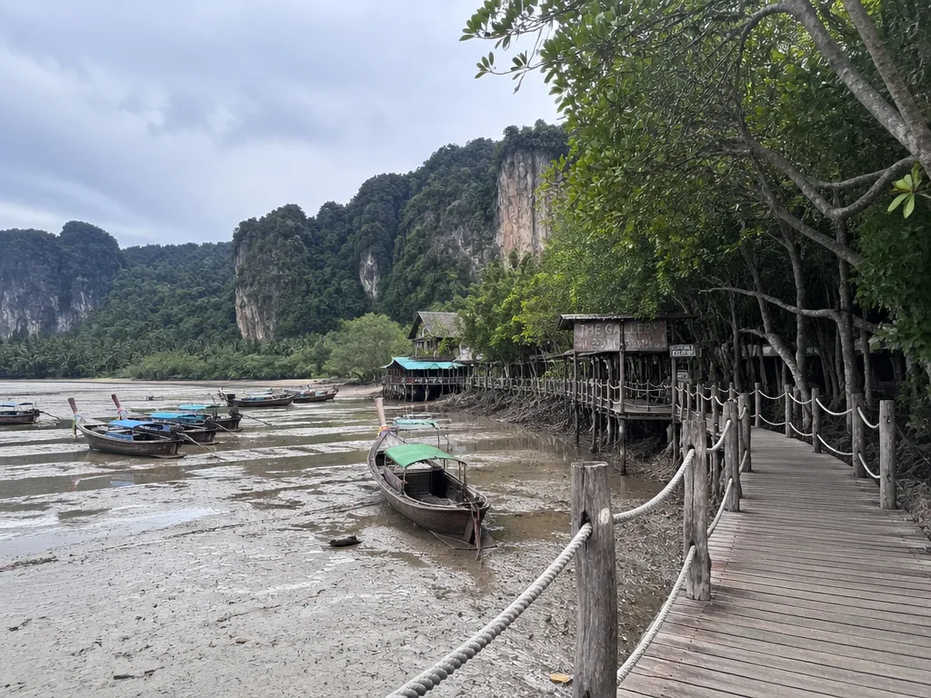 Railay East mangrove tide longtail dock walkway