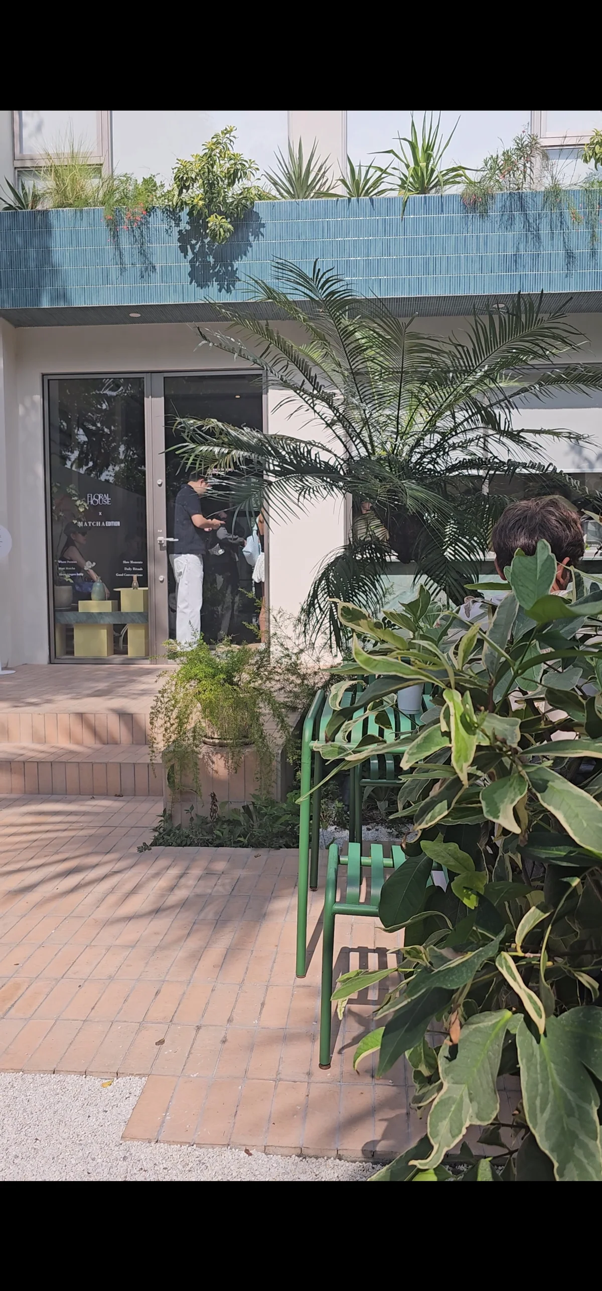 Floral House Matcha Edition entrance patio with potted plants