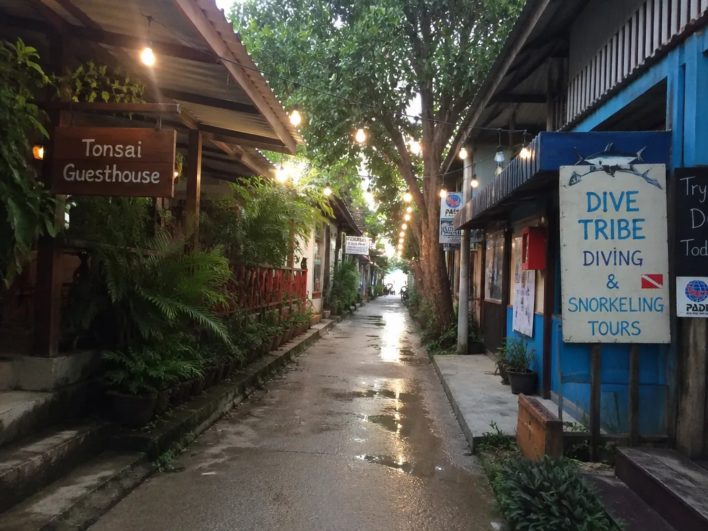 Tonsai Village backpacker alley with guesthouses and signs